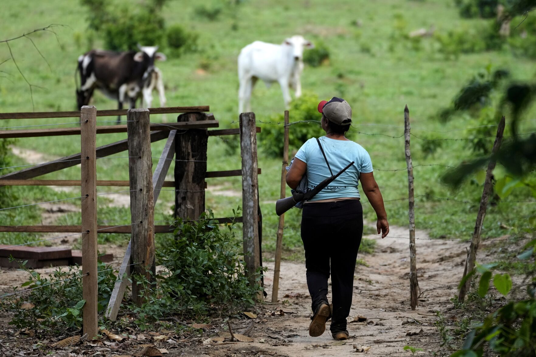 <p>Rubber-tapper Luzineide Marques da Silva returns home Dec. 6 after a day of work collecting rubber in the Chico Mendes Extractive Reserve in Xapuri, Acre state, Brazil.</p>
