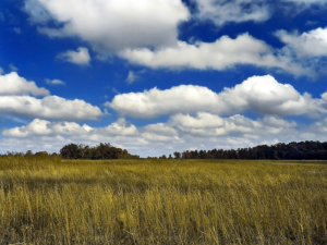 Alt Text - Clouds5