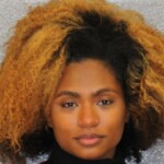 Mecklenburg County Mugshots February 19th