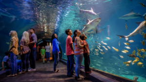 Aquarium Philadelphia