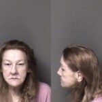 Gaston County Mugshots February 20th