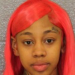 Mecklenburg County Mugshots February 20th