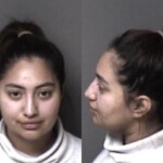 Gaston County Mugshots February 3rd