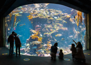 Aquarium California
