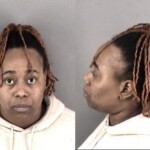 Gaston County Mugshots February 20th
