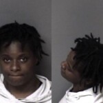 Gaston County Mugshots February 19th