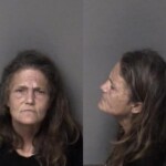 Gaston County Mugshots February 17