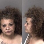 Gaston County Mugshots February 17