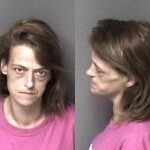 Gaston County Mugshots February 17