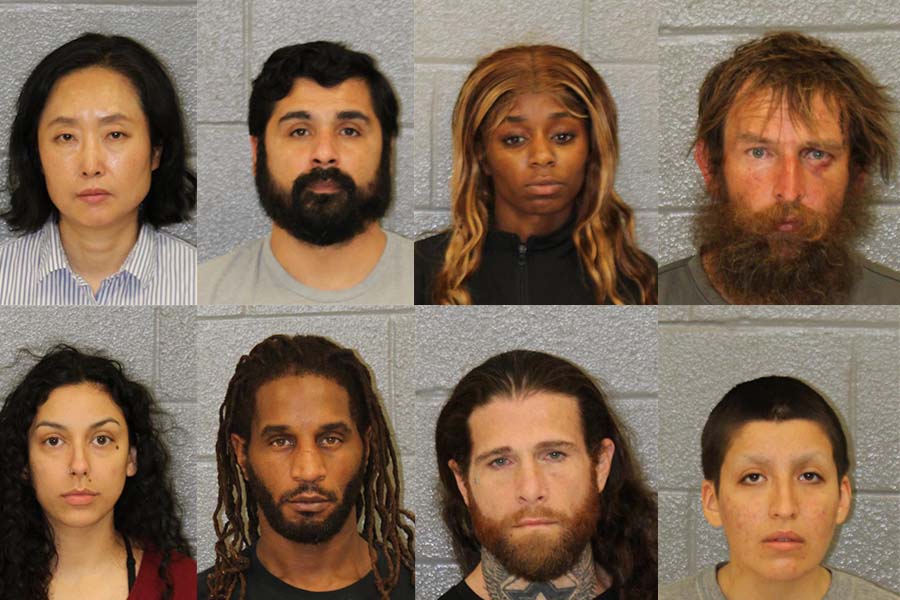 Mecklenburg County Mugshots February 17th