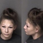 Gaston County Mugshots February 19th