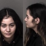 Gaston County Mugshots February 17
