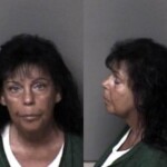 Gaston County Mugshots February 17