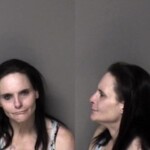 Gaston County Mugshots February 20th