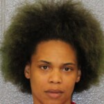 Mecklenburg County Mugshots February 19th
