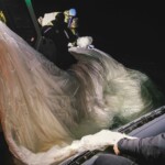 Why Balloons Are Now In Public Eye — And Military Crosshairs
