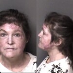 Gaston County Mugshots February 3rd