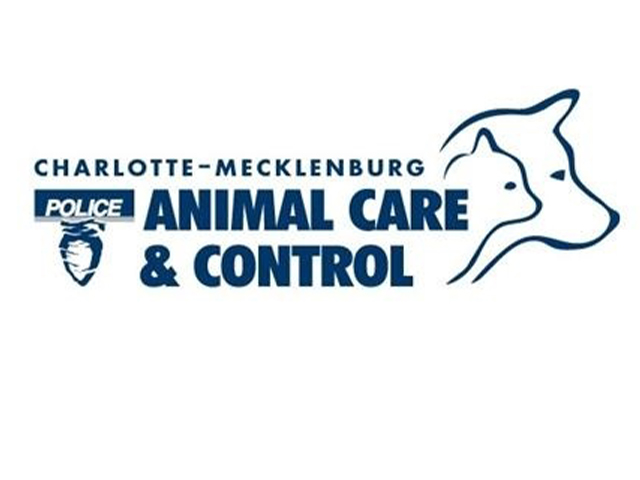 Charlotte Mecklenburg Animal Care & Control Shares Important Capacity Updates And Asks For Help Following A Facebook Hack