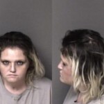 Gaston County Mugshots March 2nd