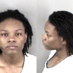Gaston County Mugshots March 2nd
