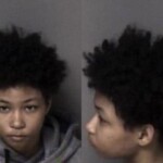 Gaston County Mugshots March 6th