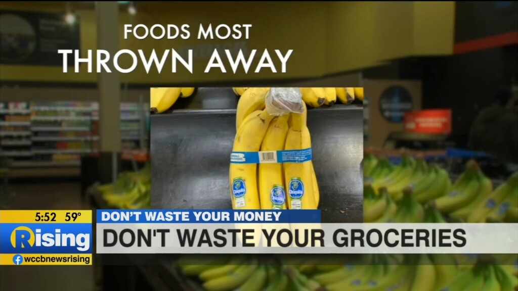 Don’t Waste Your Money: Wasted Food