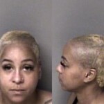 Gaston County Mugshots April 30th