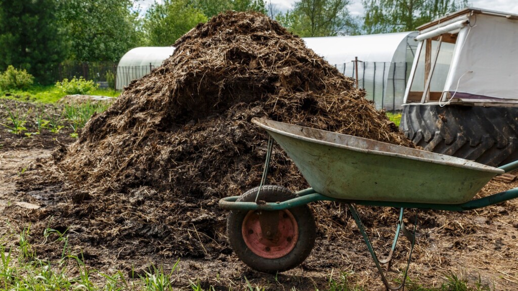 California Man Sentenced To Over 6 Years In Prison For $8.7 Million Cow Manure Ponzi Scheme, Us Attorney’s Office Says