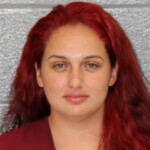 Mecklenburg County Mugshots November 29th