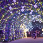 Where To Watch Christmas Lights In Charlotte