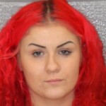 Mecklenburg County Mugshots November 29th