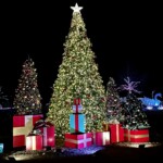 Where To Watch Christmas Lights In Charlotte