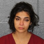 Mecklenburg County Mugshots November 29th