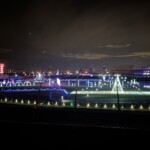Where To Watch Christmas Lights In Charlotte