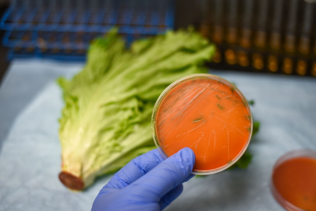 Listeria Outbreak: What To Know And How To Protect Yourself