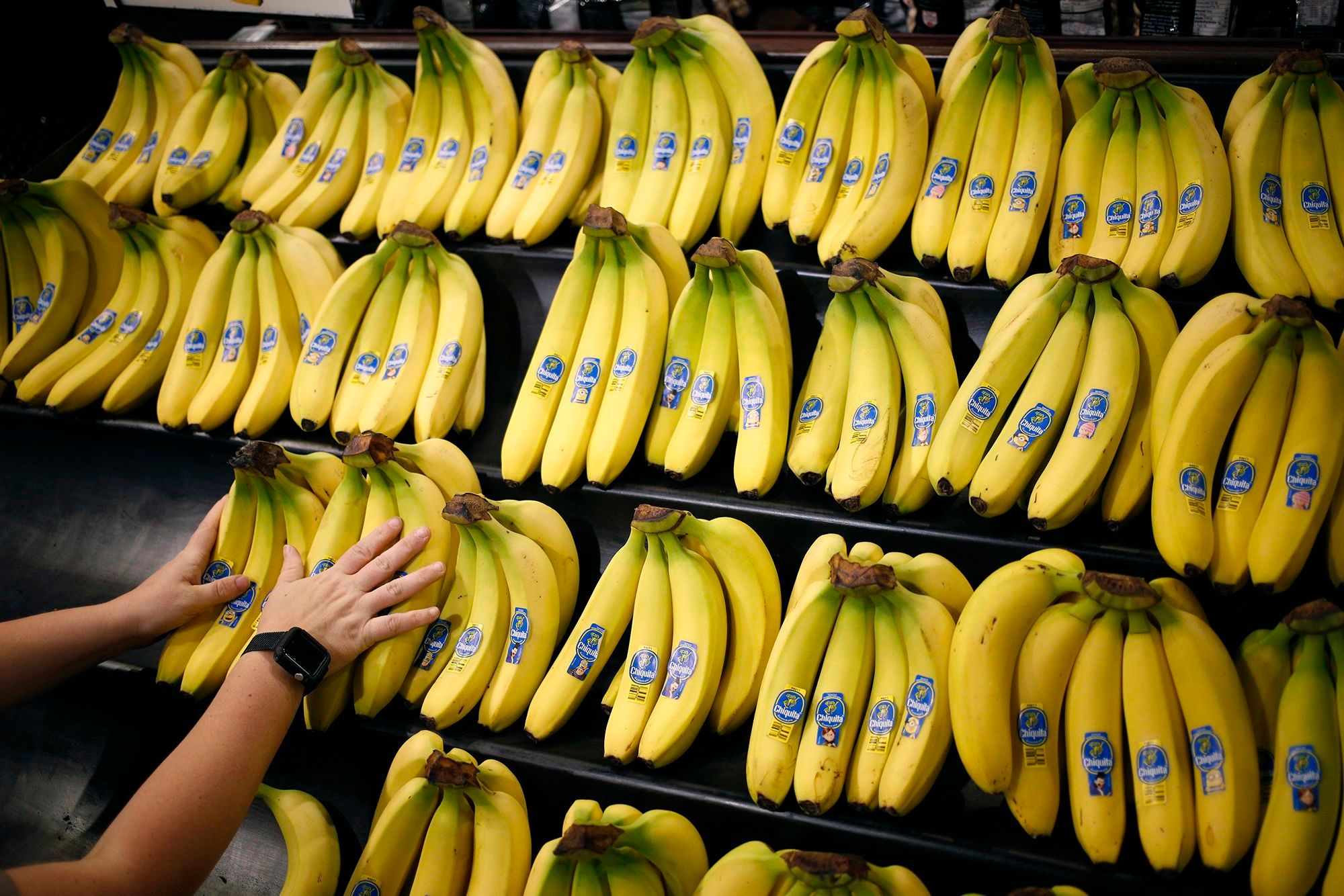 Chiquita Found Liable For Financing Paramilitary Group