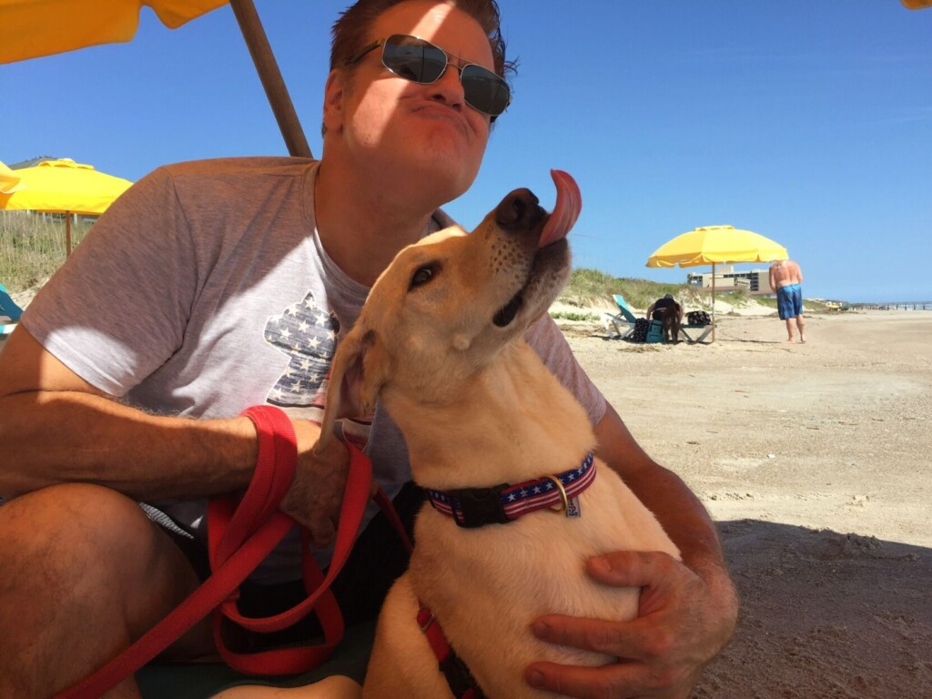 Pets Allowed Vs. Pet Friendly – Accommodations That Go The Extra Mile
