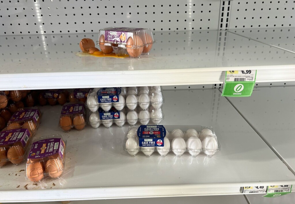 Expect Record High Egg Prices For Most Of The Year