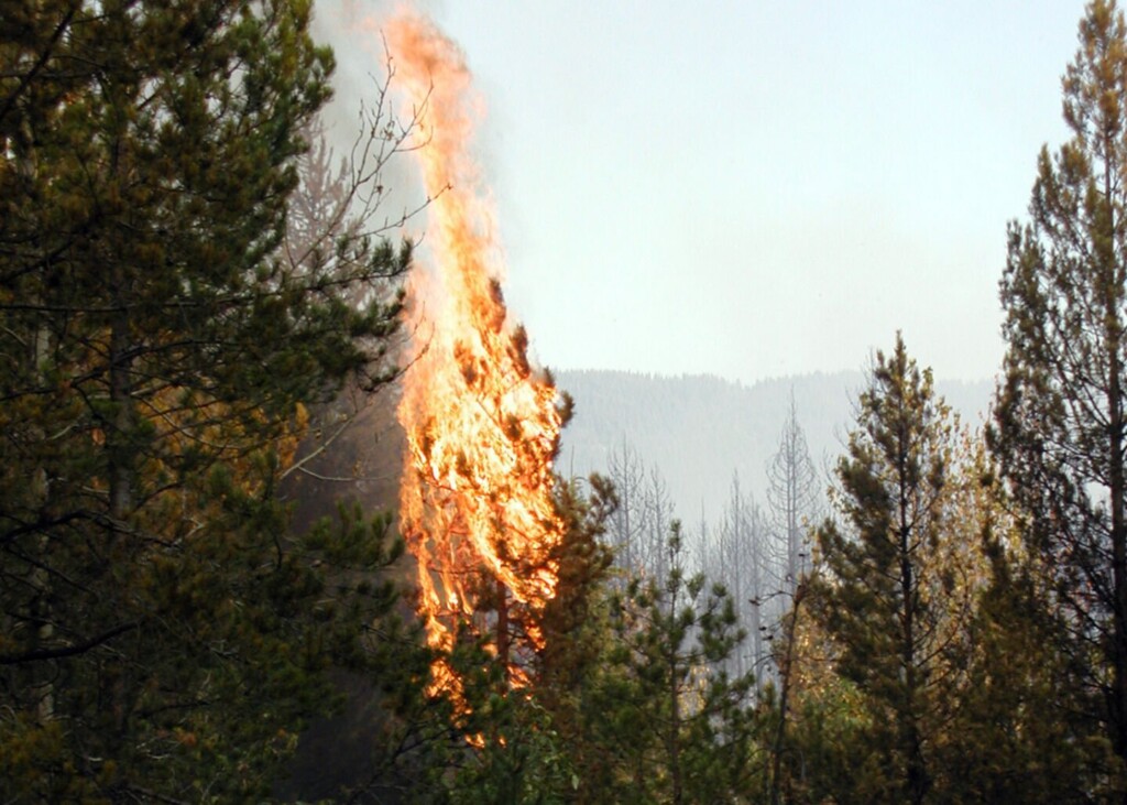 Waste Of The Day: La Firefighter Gets $600,000 In Overtime