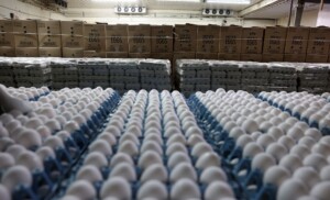 Egg Prices Are Finally Falling. But They’re About To Spike Again