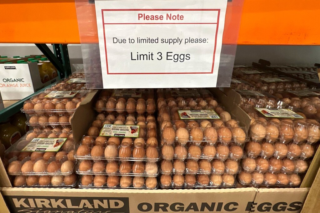 Egg Prices Are Falling. But There’s A Catch