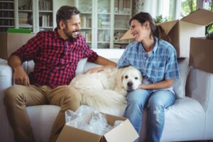 Moving With Pets: Overcoming The Stress Of Planning A Pet Friendly Journey