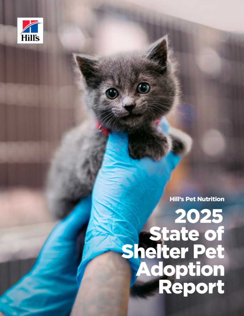 Cost, Guilt And Doubt: Hill’s Pet Nutrition’s 2025 State Of Shelter Pet Adoption Report Reveals Why Pets Still Wait In Shelters