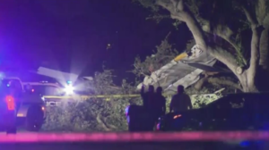 4 Hospitalized But Safe After Small Plane Crashes In Neighborhood, Officials Say