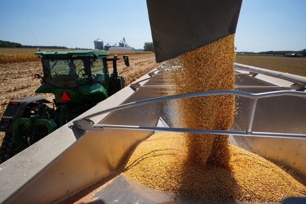 Trump Considers Massive Bailout Of At Least $10 Billion For American Farmers Hurt By His Trade War