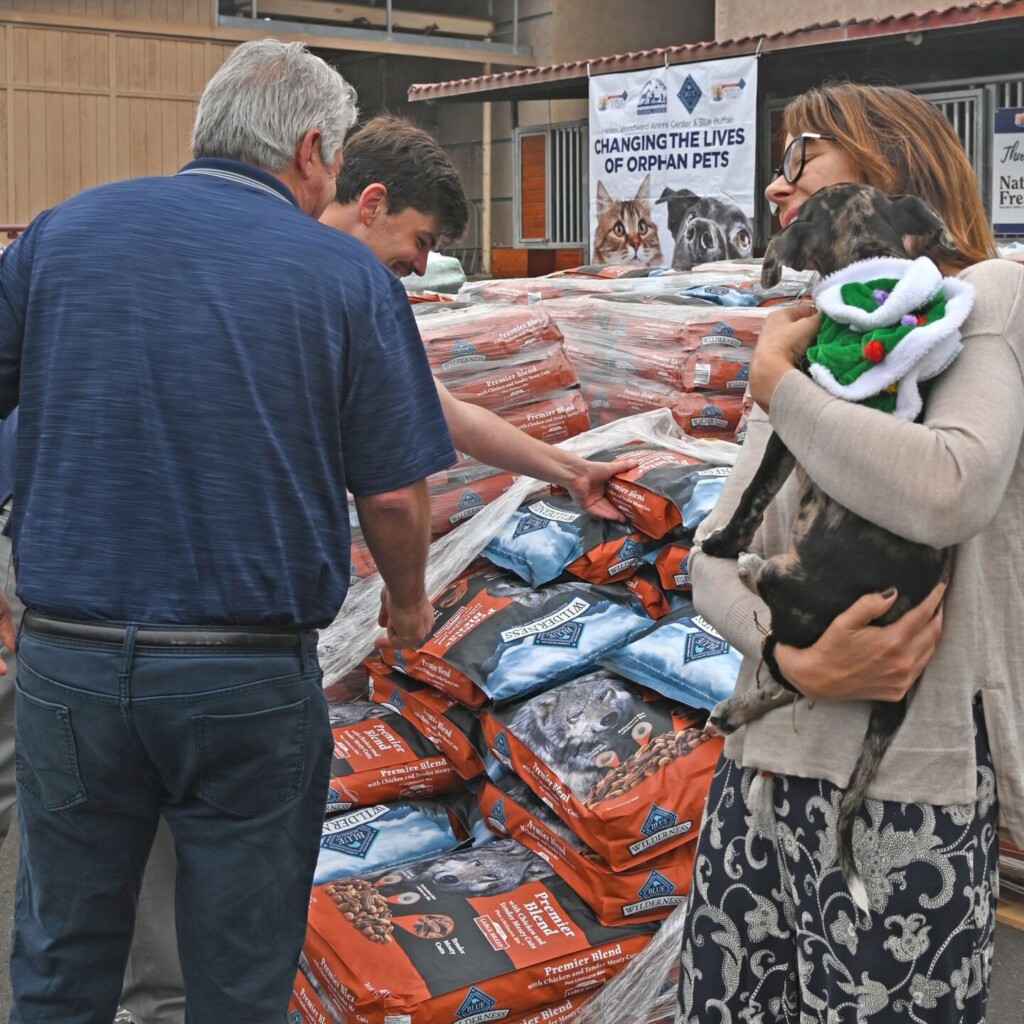 The Holidays Arrive Early For Orphan Pets In Need!