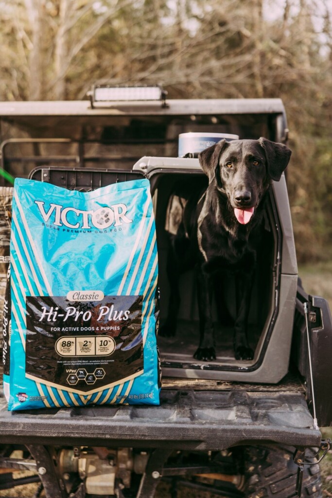 Powered By Protein: Victor Pet Food Shares What Every Pet Parent Should Look For In The Pet Food Aisle