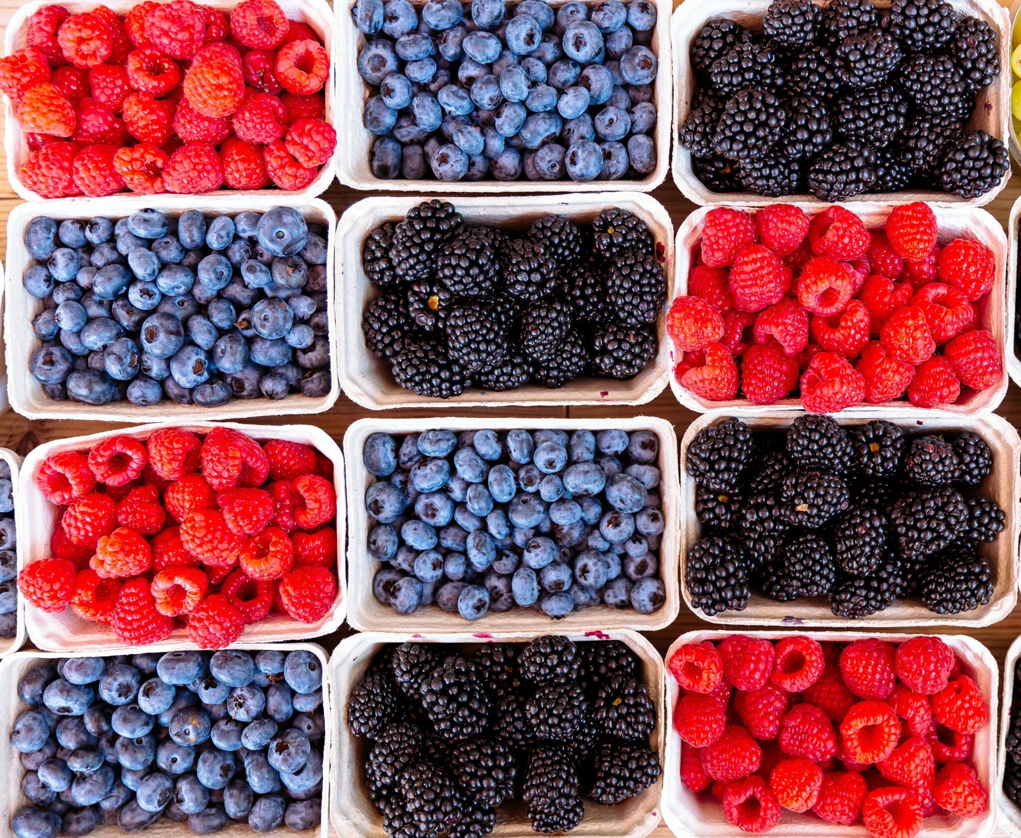 Brain Aging Slowed By Over 2 Years With Unique Diet