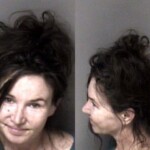Gaston County Mugshots March 18th