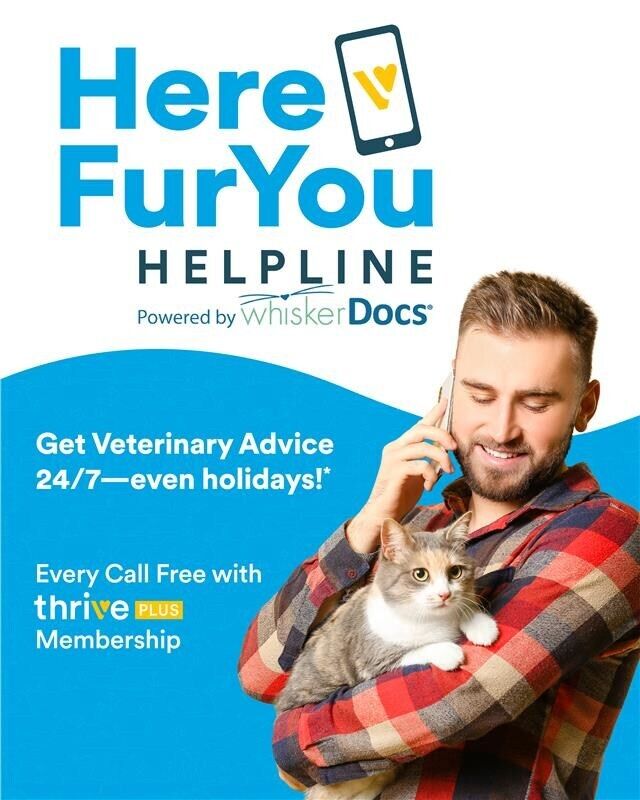 Thrive Pet Healthcare Launches 24/7 Helpline For Pet Owners